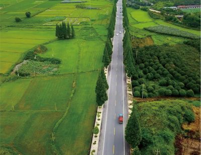 S284省道合江鎮(zhèn)禾塘嶺至化州市區(qū)段路面改造工程（一級）